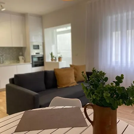 Apartamento Da Bandeira Apartment Viana do Castelo